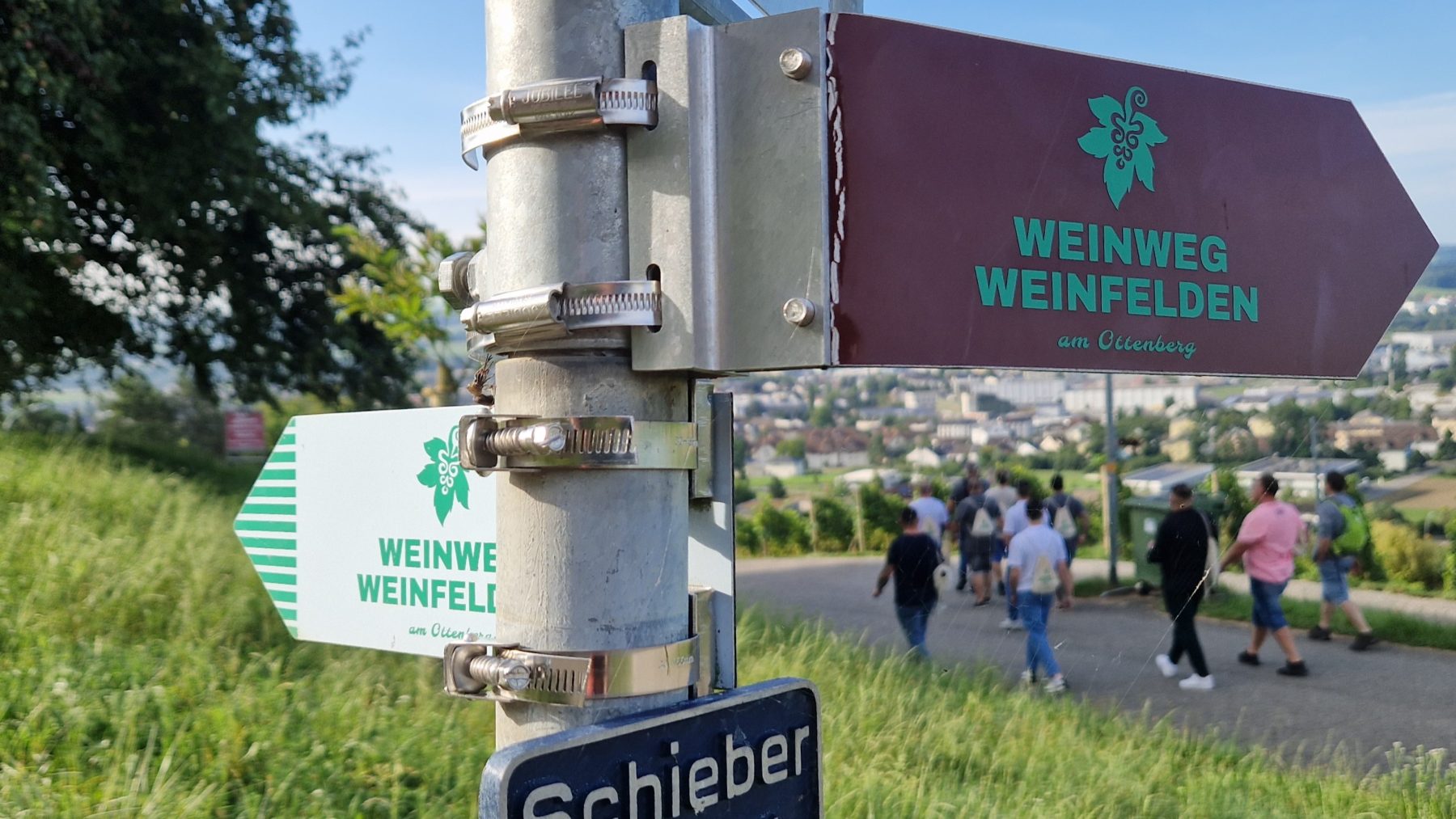 Weinwanderung in Weinfelden